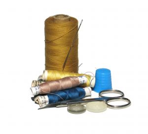 Diário de um Biólogo – Domingo 11/05/2008