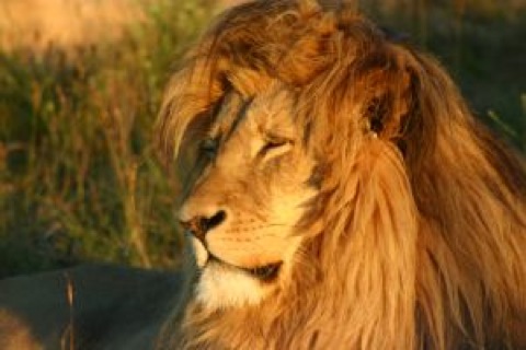 Cuidado com o penteado