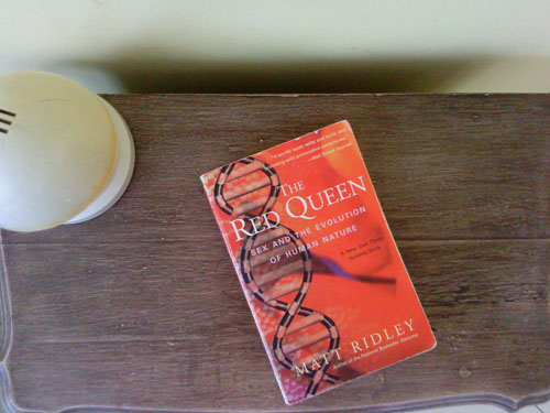 Acabei de ler… The Red Queen