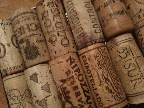 Diário de um biólogo – Sexta, 01/07/2011 – Blues Etílicos