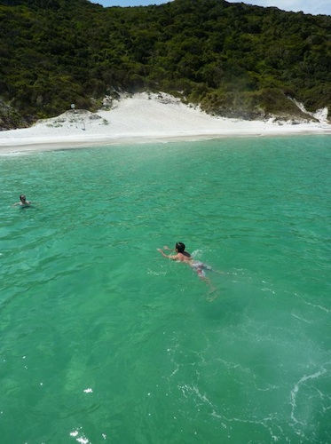 Diário de um biólogo – Terça, 26/10/2010 – Quarto dia do ISMEE