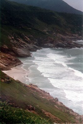 Que bichinho é esse? Que plantinha é essa? E como dizer isso pros outros?