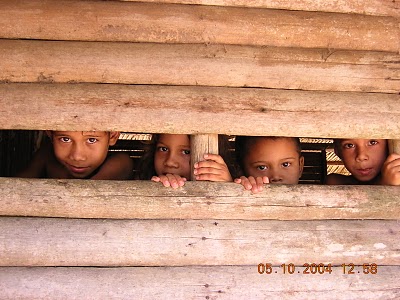 Minha professora de ciências