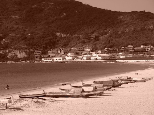 Diário de um biólogo – Quarta, 27/10/2010 – Quinto dia do ISMEE