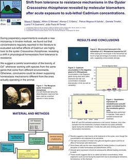 Diário de um Biólogo – 5a feira 03/05/07