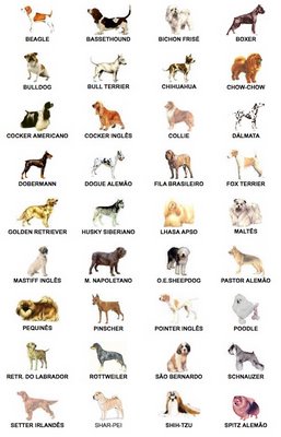 Os próximos 150 anos