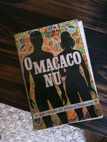 Qualquer gato vira-lata