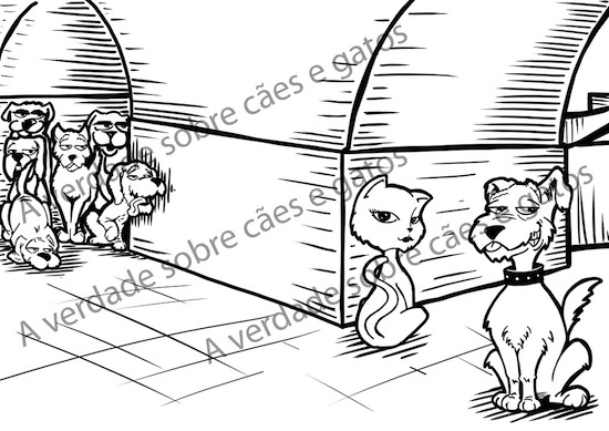 A verdade sobre cães e gatos. E sobre homens e mulheres também.