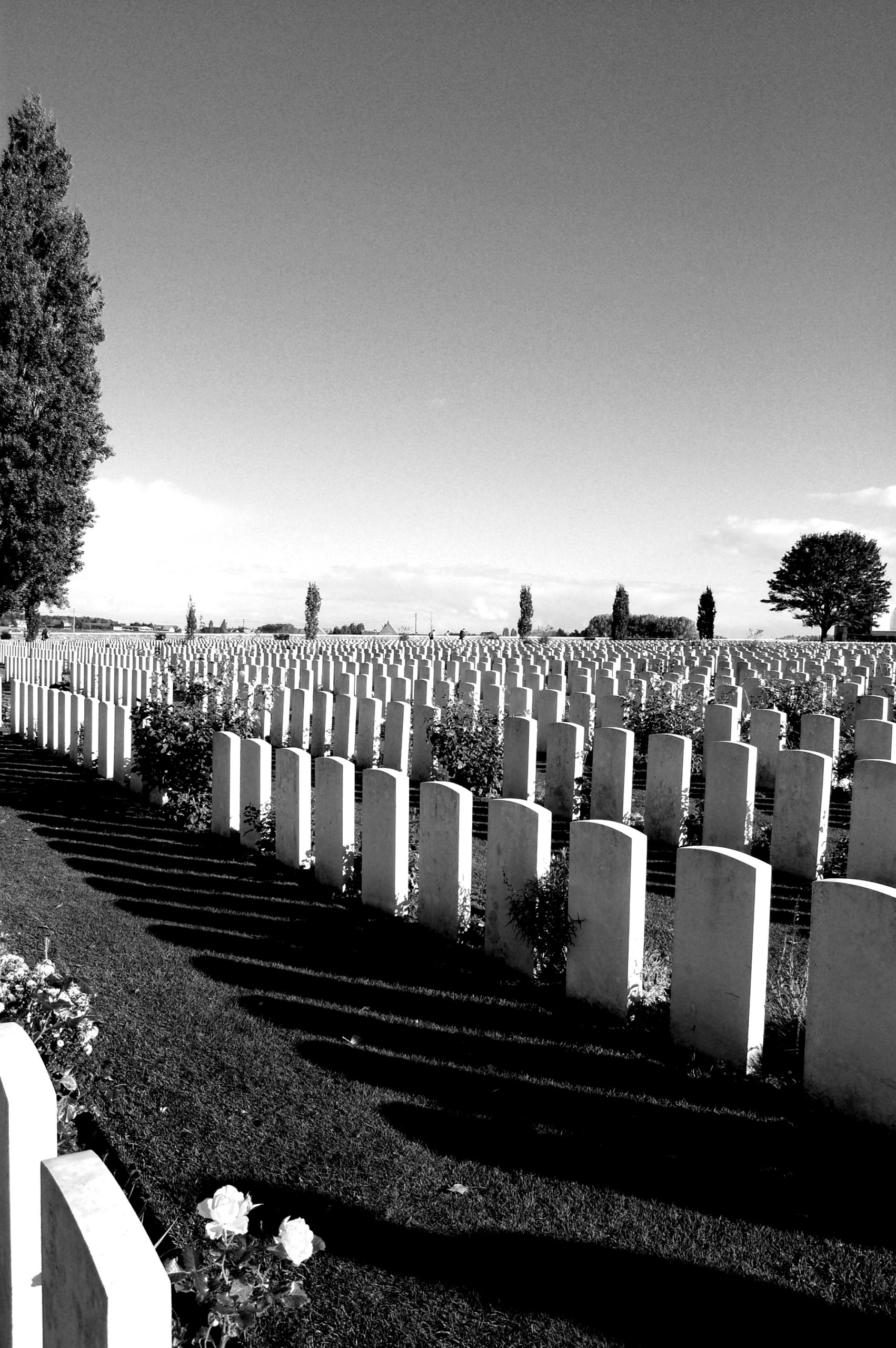 'Brothers in arms' – Quando a cooperação leva a guerra