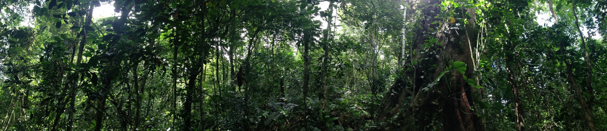 Coisas que aprendi ao longo do último ano